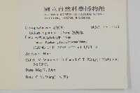 鵝兒腸藏品圖，第2張