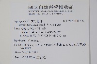 酸藤藏品圖，第2張