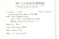 濕生葶藶藏品圖，第2張