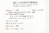 臭濱芥、臭薺藏品圖，第2張