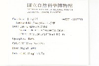 小葶藶藏品圖，第2張