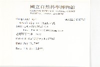 牡蒿藏品圖，第2張