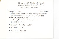 高士佛澤蘭藏品圖，第2張