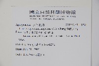 蘭嶼絡石藏品圖，第2張