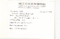 牡蒿藏品圖，第2張