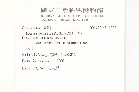 濱剪刀股藏品圖，第2張