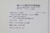 鷗蔓藏品圖，第2張