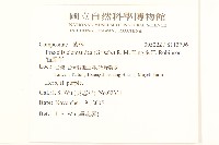 貓腥草藏品圖，第2張