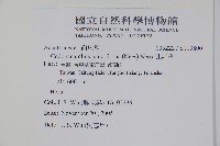 針刺草藏品圖，第2張