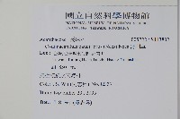 針刺草藏品圖，第2張