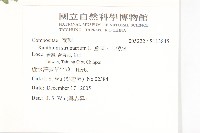 蒼耳、羊帶來藏品圖，第2張