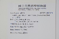 早田氏爵床藏品圖，第2張