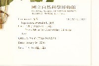 豨薟藏品圖，第3張