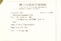 豨薟藏品圖，第2張