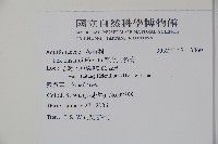 草野氏冬青藏品圖，第2張