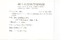 紫背草藏品圖，第2張