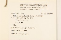 小花蔓澤蘭藏品圖，第2張