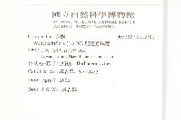 雙花蟛蜞菊藏品圖，第2張