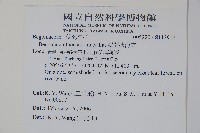 溪頭秋海棠藏品圖，第5張