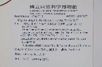 方氏秋海棠藏品圖，第2張