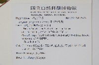 坪林秋海棠藏品圖，第2張