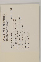 異子藤、蘭嶼錐頭麻、銳葉疚意奇羅麻藏品圖，第2張