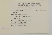 馬氏濱藜藏品圖，第2張