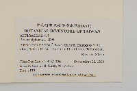 鬼針藏品圖，第2張