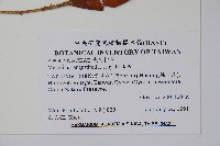 山橙藏品圖，第2張