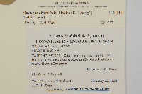 北仲, 刺裸實藏品圖，第2張