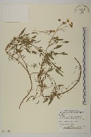 登錄號:S114193藏品圖，第1張