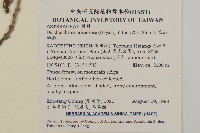 阿里山油菊藏品圖，第2張