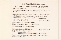 玉山蟹甲草藏品圖，第2張