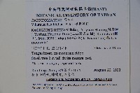 樺葉莢迷、玉山莢迷藏品圖，第2張