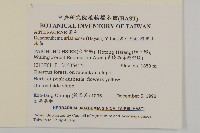 阿里山油菊藏品圖，第2張