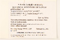 匙葉鼠麴草藏品圖，第2張