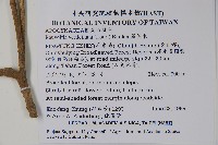 蘿芙木藏品圖，第2張