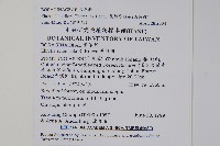 長花厚殼樹藏品圖，第2張