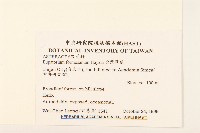 臺灣澤蘭藏品圖，第2張