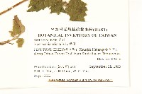 豨薟藏品圖，第2張