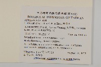 煙管草藏品圖，第2張