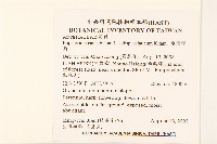 台灣澤蘭藏品圖，第2張