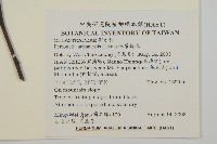 佩羅特木藏品圖，第2張