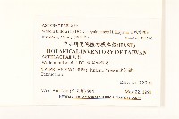 琉球蟛蜞菊藏品圖，第2張