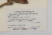 毛將軍藏品圖，第2張