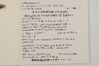 狹葉艾納香藏品圖，第2張