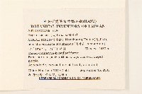 白頂飛蓬藏品圖，第2張