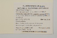 日本賽衛矛、日本假衛矛藏品圖，第2張