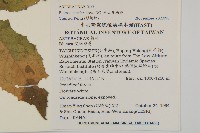 旗山艾納香藏品圖，第2張