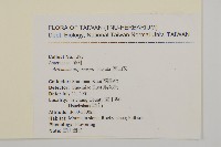 高山艾藏品圖，第2張